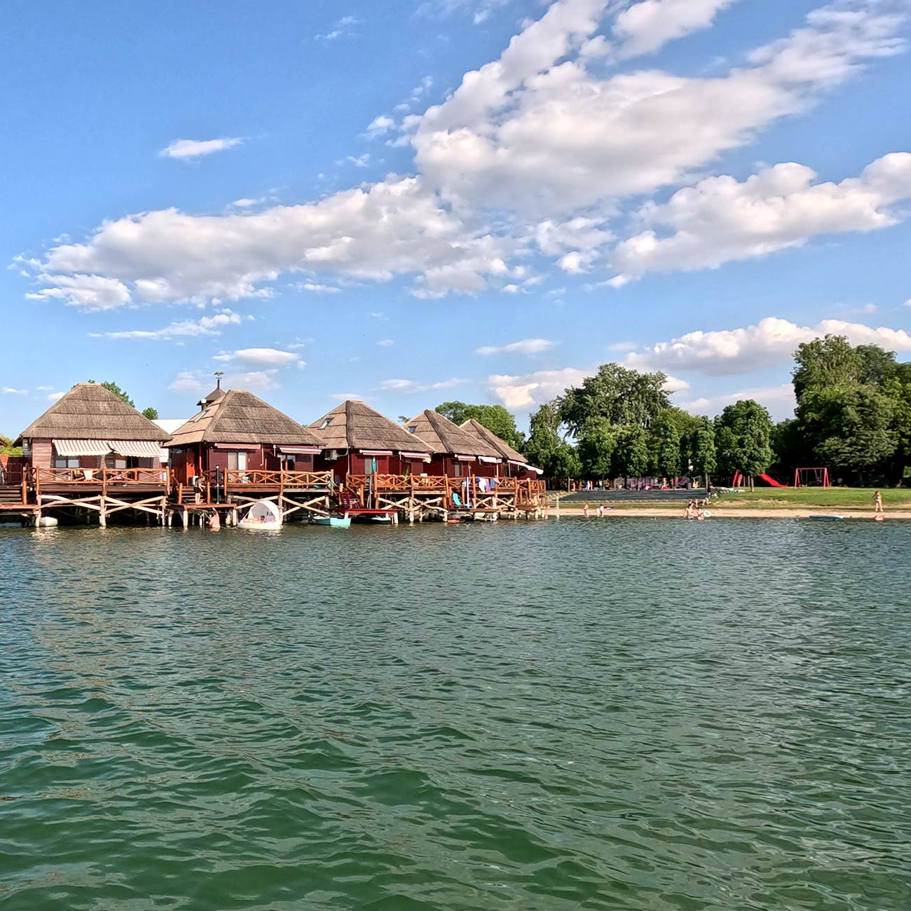 Senec—web